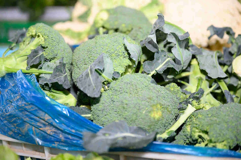 曾氏贵宾会|HOME