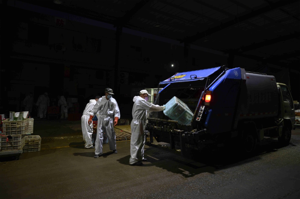 曾氏贵宾会|HOME