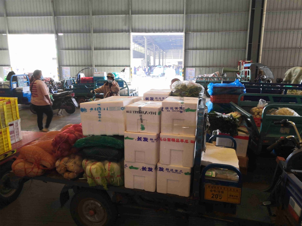 曾氏贵宾会|HOME