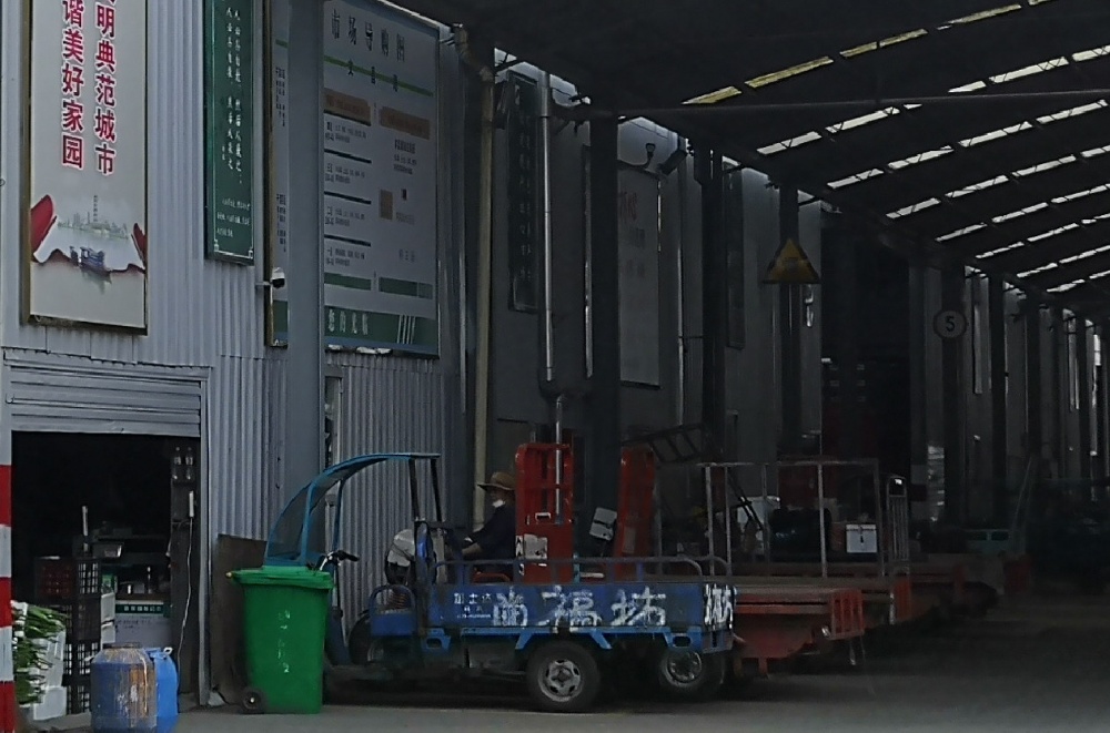 曾氏贵宾会|HOME