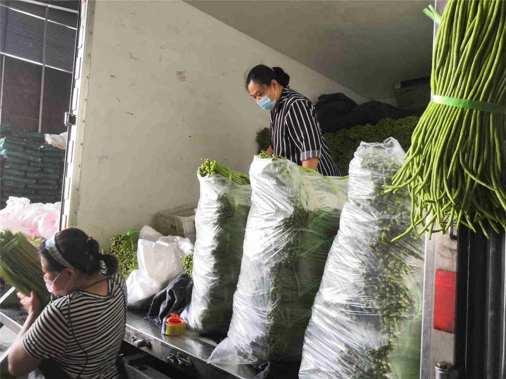 曾氏贵宾会|HOME