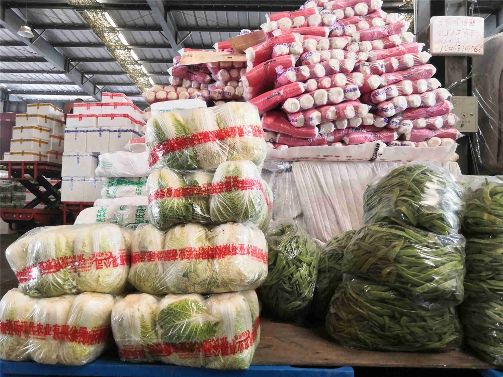 曾氏贵宾会|HOME