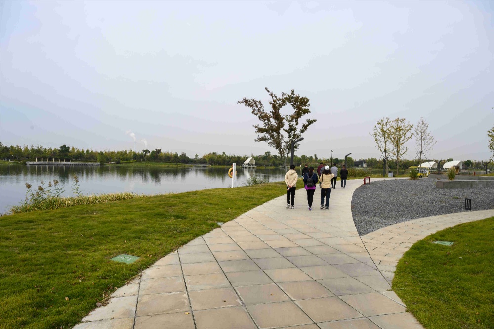 曾氏贵宾会|HOME