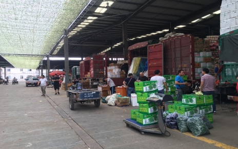 鼎新创新出功效??推动发展绘新篇