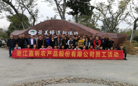 动出健全与活力！工会组织员工健身走活动