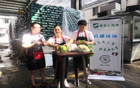 创意直播带货,本期专栏：兰州高原夏菜！