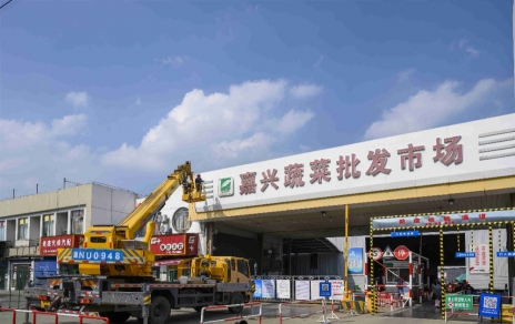 进无终点，“嘉农?蔬菜人”