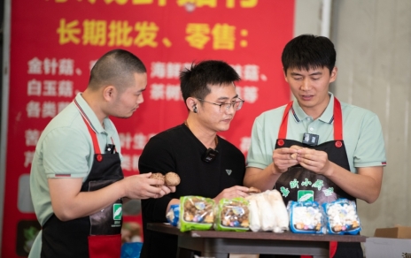 鲜鲜活活的“幼精灵”---菌菇