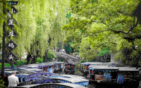 触摸文化厚度  浸润滋养心灵