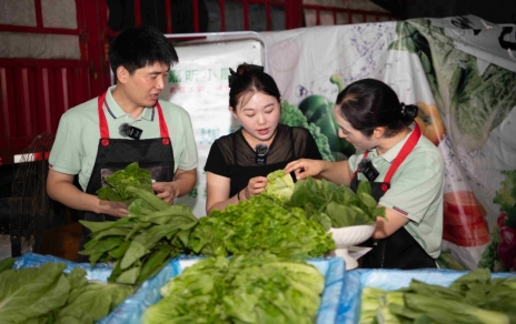 夏季叶菜当家花旦----云南高原菜